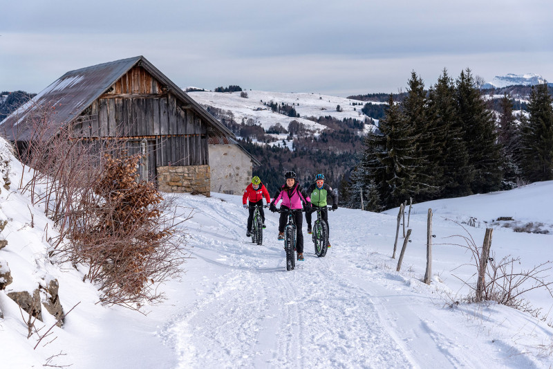 FatBike