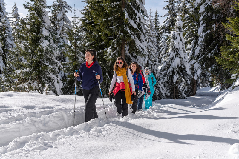 Raquettes à Neige