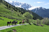 ballade_anes_3.jpg