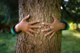 Bain de nature
