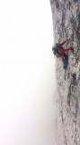 Fabien Suiffet, guide de haute montagne