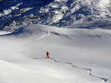 Les Avals