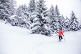 Raquettiste en randonnée hivernale