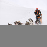 aussois-husky-adventure-chiens-de-traineau
