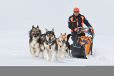 aussois-husky-adventure-chiens-de-traineau