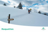 le_grand_coin_raquettes_apidae.jpg