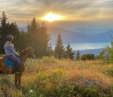 Centre équestre Volte face