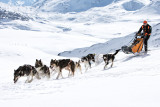 aussois-husky-adventure-chiens-de-traineau