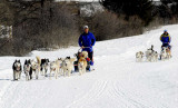 Husky Adventure Caron Christophe - Ecole de traineau à chiens à Aussois