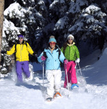 raquettes Peisey Vallandry