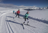 Skatinf piste du Carrolet  [domaine nordique de Nâves]