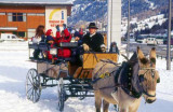 Groupe de personnes en balade en calèche
