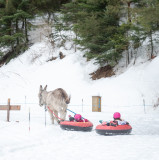 Anes Vanoise à Val Cenis-Lanslebourg