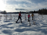 20201219_145514.jpg