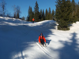 95d290a53edda7136e61.jpg