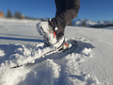 Balades en raquettes à neige