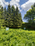 Village Tipi