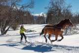 ski joering