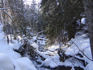 dsc01901.jpg