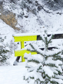 Itinéraire piéton raquettes  : Le chemin du Petit Bonheur_Modane