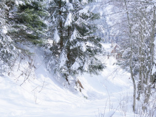 Itinéraire des Dôdes