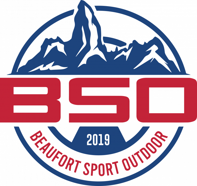 Logo BSO