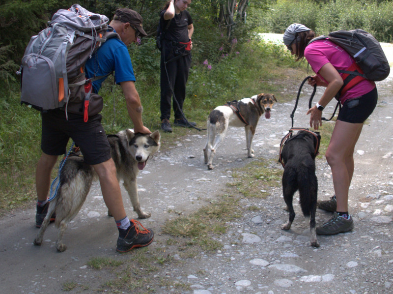 Cani-randonnée avec Husky Adventure en Haute Maurienne Vanoise
