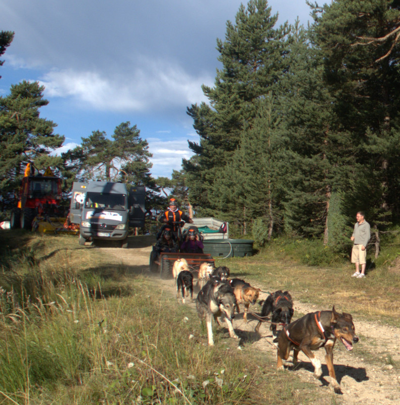 Kart à chiens avec Husky Adventure en Haute Maurienne Vanoise