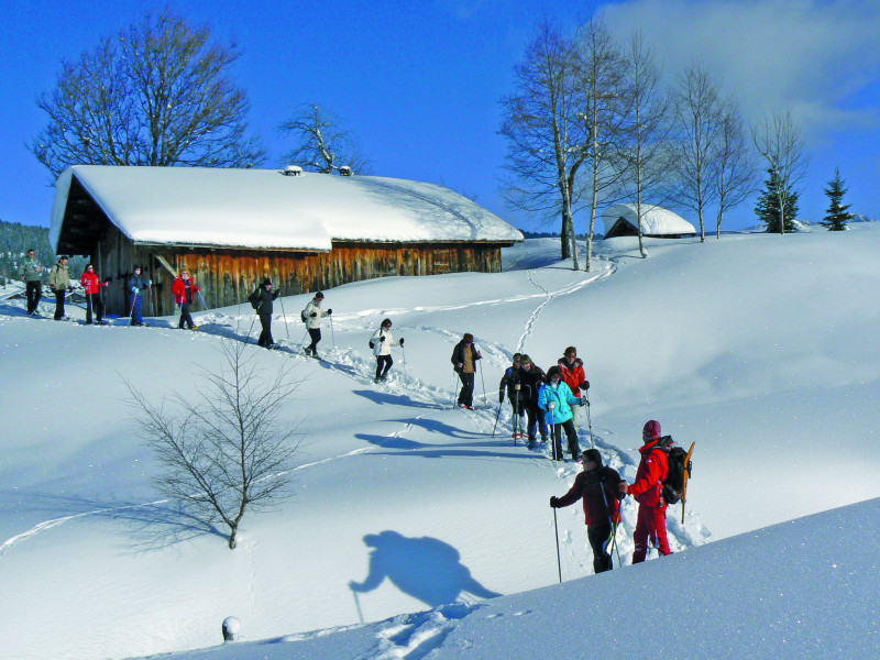 randonnee-raquettes-aux-saisies