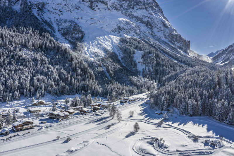 Le Plateau