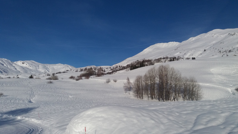 20180123_161052.jpg