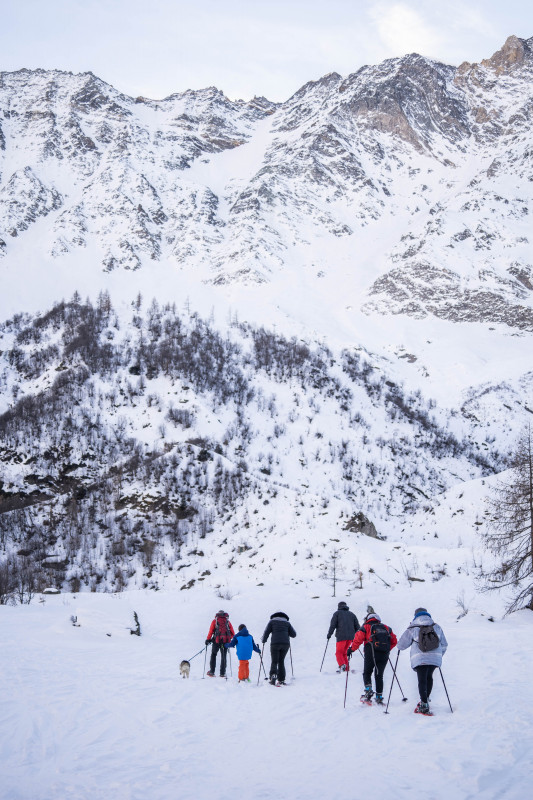 Fond de vallée