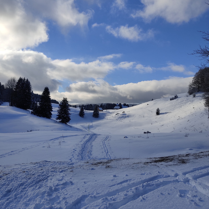 piste du trappeur