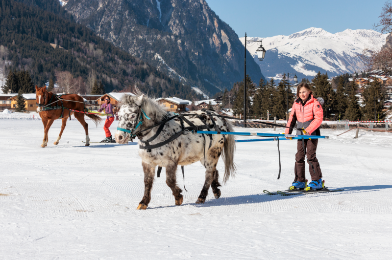 Ski joëring