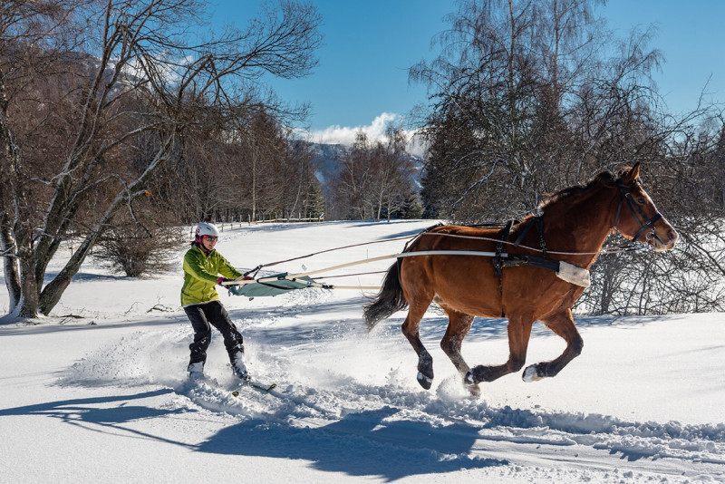 ski joering