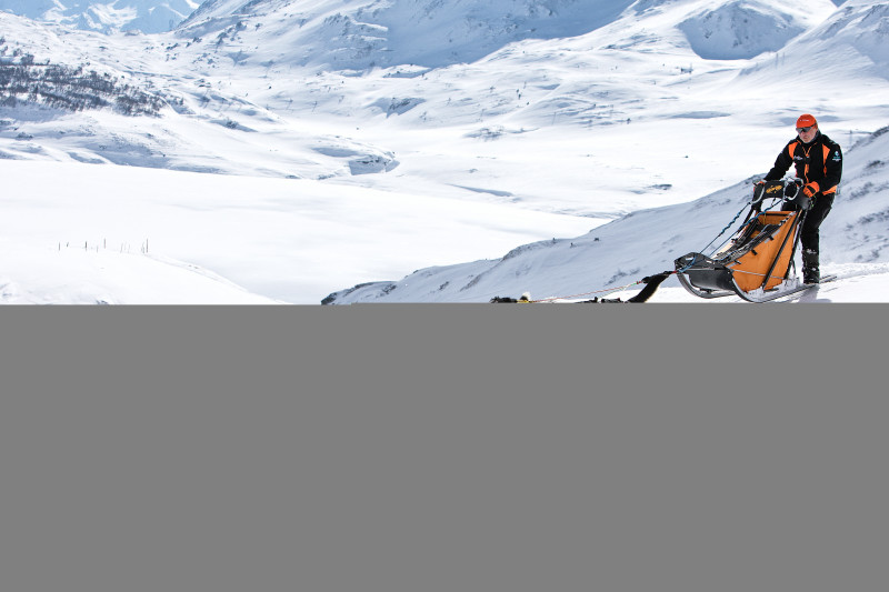 aussois-husky-adventure-chiens-de-traineau