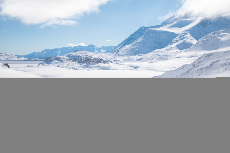 aussois-husky-adventure-chiens-de-traineau