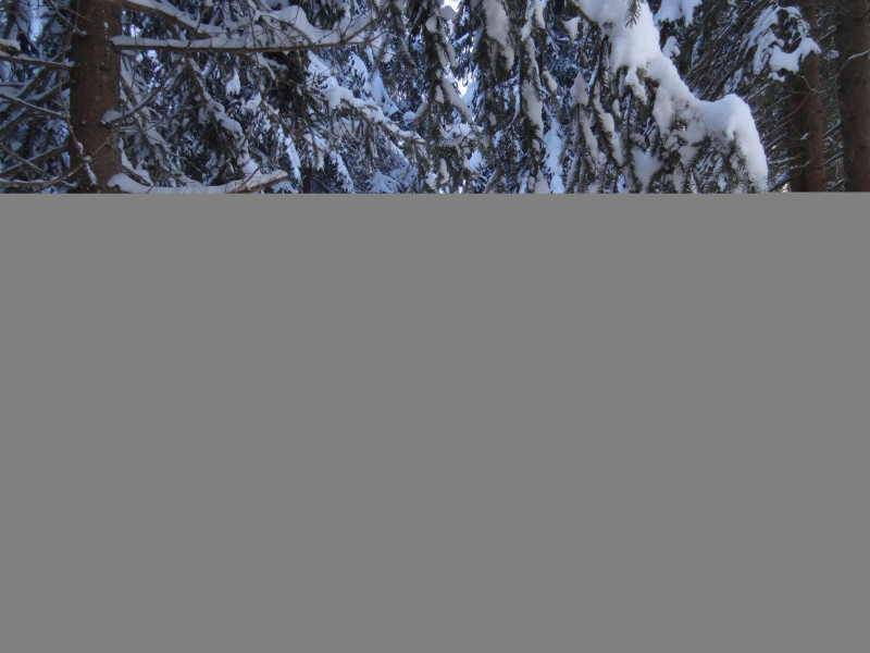 itineraire_raquettes_comba_damon_3_karine_renaud.jpg