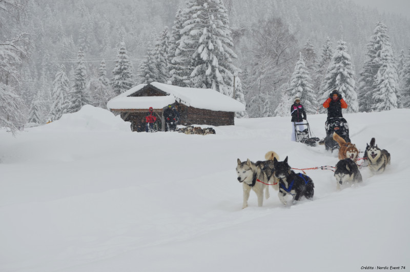 Traineau tiré par les chiens - © Nordic Event 74 Traineau tiré par les chiens