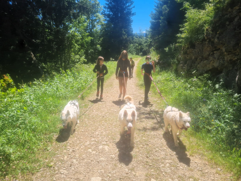 cani_esprit.jpg - © Célia Chagny cani_esprit.jpg