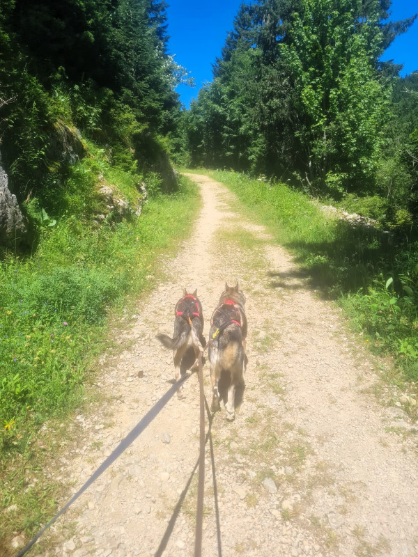 nietsch_nosock.jpg - © Célia Chagny nietsch_nosock.jpg