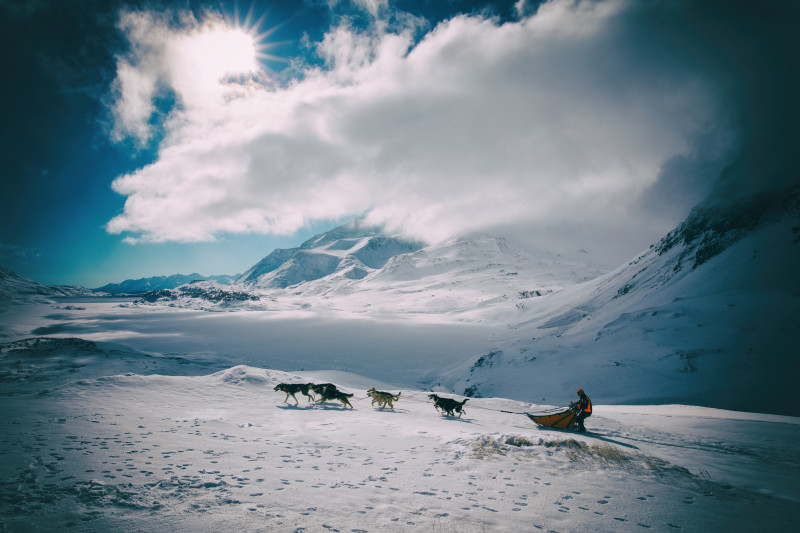 aussois-husky-adventure-chiens-de-traineau - © Husky Adventure aussois-husky-adventure-chiens-de-traineau