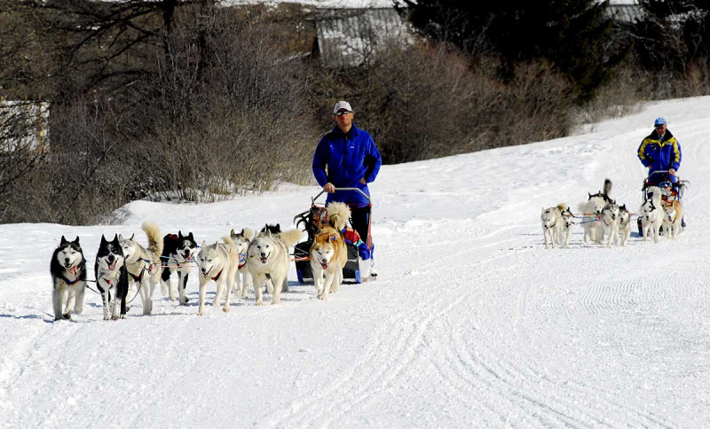 Husky Adventure Caron Christophe - Ecole de traineau à chiens à Aussois - © MO - Caron Christophe - OT AUSSOIS Husky Adventure Caron Christophe - Ecole de traineau à chiens à Aussois