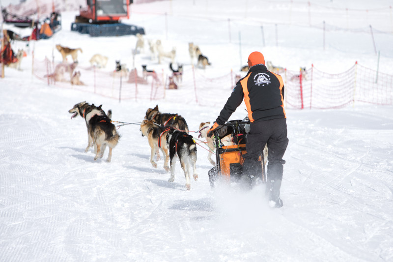 aussois-husky-adventure-chiens-de-traineau - © Husky Adventure aussois-husky-adventure-chiens-de-traineau