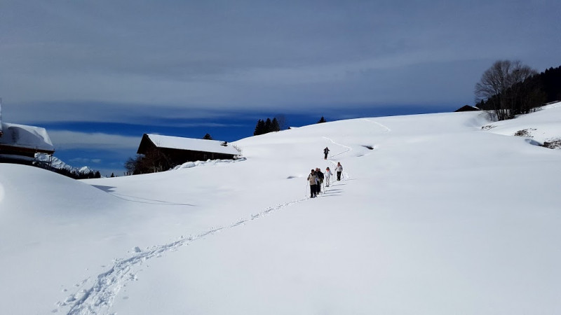 Raquette - © Anne Marie Recollin Raquette