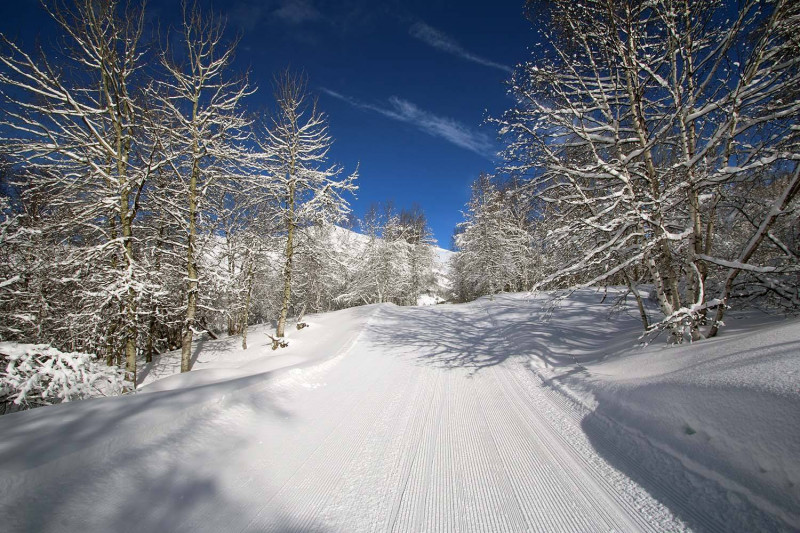 11_02_2016_4.jpg 11_02_2016_4.jpg