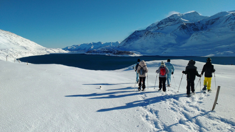 Groupe de raquettistes dans la neige