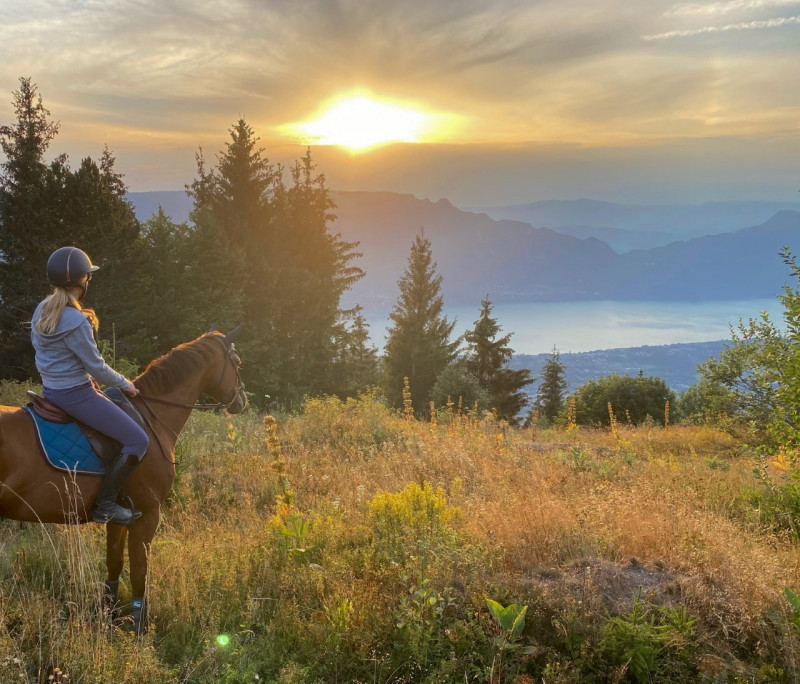 Centre équestre Volte face