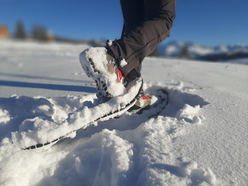 Balades en raquettes à neige