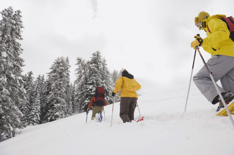Balade en raquettes dans la poudreuse